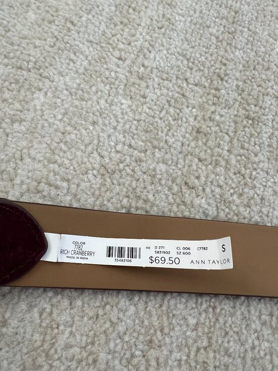 NWT Ann Taylor Genuine Leather Suede Belt S Gold Circle Buckle main image 5